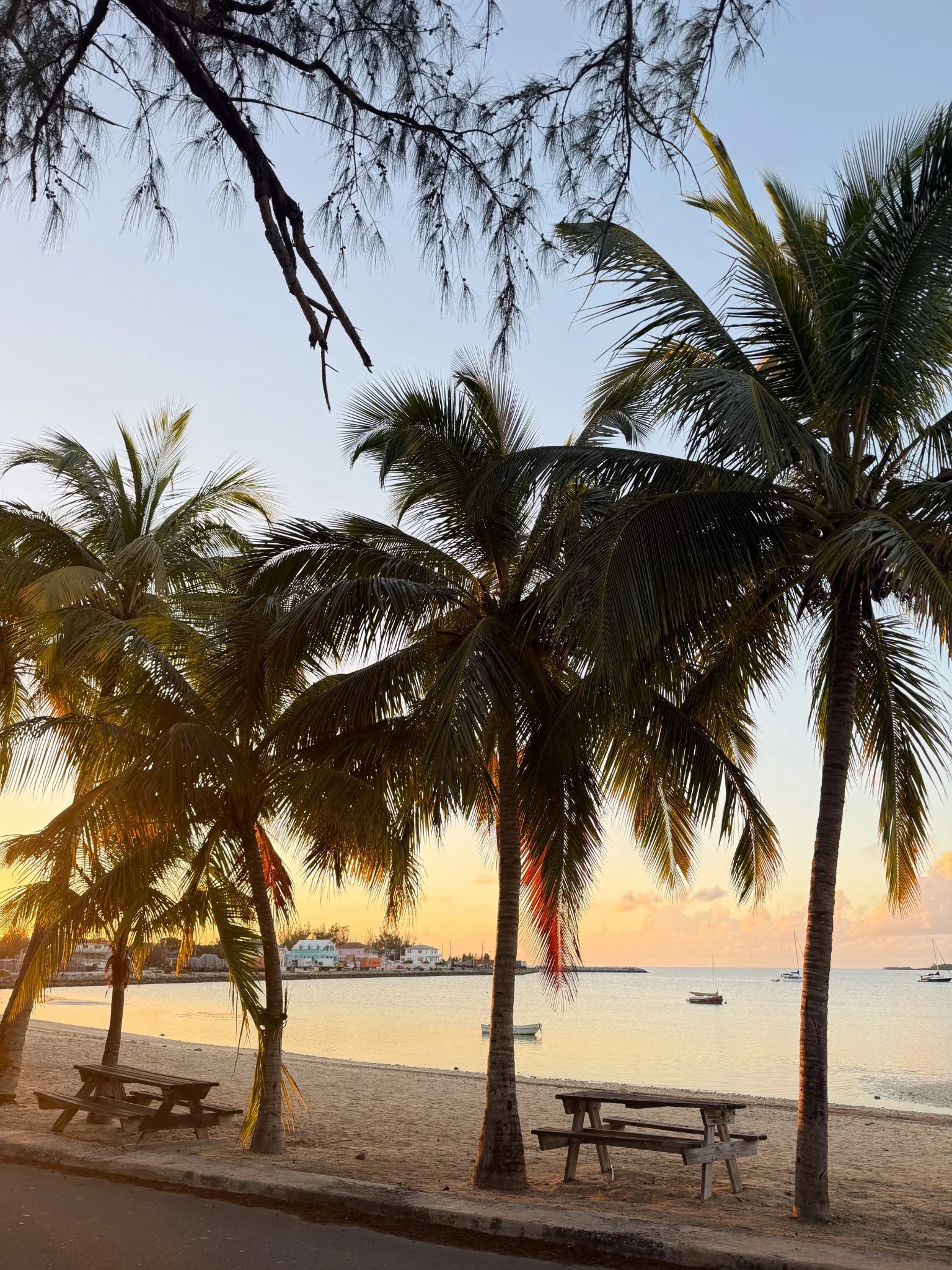 Palm trees and picnic tables beside the beach in Governor’s Harbour, Eleuthera, in warm evening light.